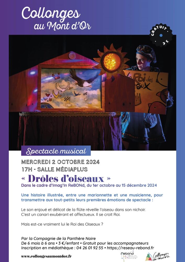 Drôle d'oiseaux 2024_Affiche 