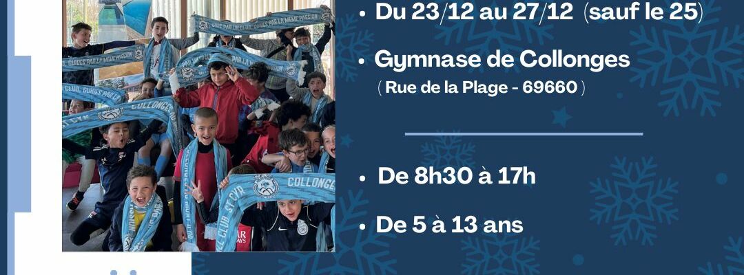 affiche d'annonce de ce stage